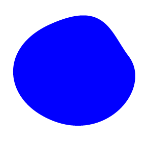 fotogaléria Novotvar 2020