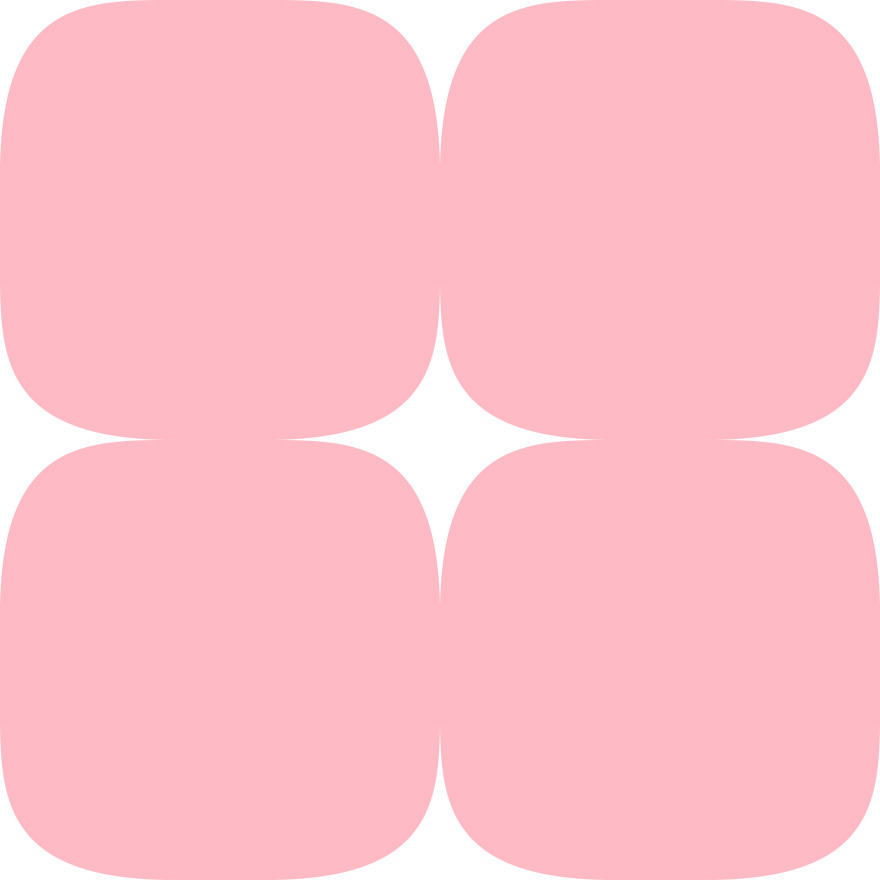 fotogaléria Novotvar 2024